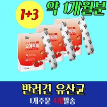 강아지 소화불량 묽은변 변비 당독소 유산균 약 1개월분