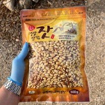 2022년 가평잣 국산잣 햇잣 생잣 500g, 황잣
