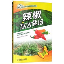 고추삼는기계 농기구 가정용고추기계 텃밭 농사 파종기 정품 책 후추 고효율 재배 M J S H 편집 농업 임업 작물 기계 엔지니어링 출판 기계 산업 출판사