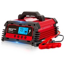 배터리충전기 차량용 점프스타터 12V 24V 과열 과충전 방지, 25A, 1개