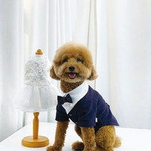 브랜드 강아지옷 클래식 정장 턱시도(TYPE1), 그레이