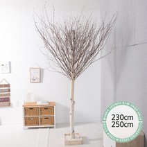 실내인테리어 인조나무 123종 / 플트 조화나무 C, C21.소원자작나무 230cmK/사방형