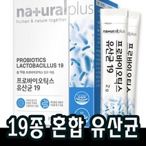 30포x1박스 혼합유산균 프로바이오틱스 모유유산균 19종 분말 스틱 람노서스 가루 청소년 수험생 온가족 중학생 고등학생, 1개