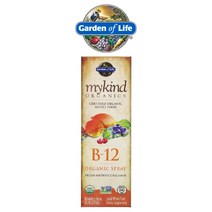 가든오브라이프 뿌리는 비타민 B12 스프레이 메탈 코랄라민 라즈베리 58ml, 1개