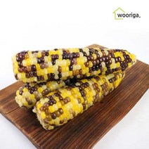 냉동 삶은 알록이 옥수수 14개16~18cm내외, 알록이 옥수수 14개(16~18cm내외)