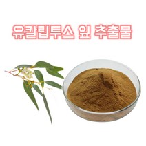 영진 유칼립투스 분말 유칼립투스 가루 유칼립투스 추출물 농축 한방 차 건강분말, 10:1, 1봉, 200g