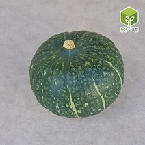 뉴질랜드 킹 단호박 5~8알 10kg, 단품