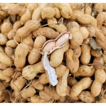 국산 부럼땅콩 생땅콩 피땅콩 1kg임 2kg이상 구매시 배송혜택 리뷰추첨