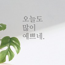 큐데코 감성 명언 레터링 스티커 포인트스티커, 01.많이예쁘네-그레이*사이즈-S