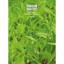 천마산에 꽃이 있다:들꽃을 처음 만나는 이들을 위한 다정한 입문서, 글항아리, 조영학 저