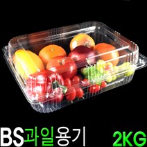 과일포장용기 복숭아용기 블루베이용기 아로니아용기 사과대추용기 2000호 2kg 무타공 100개