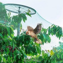 새 그물망 농작물 보호 그물 방조망 4x10m DD-11974 새그물망 참새그물망 그물망 새그물 작물그물망, (선택_상품선택_)