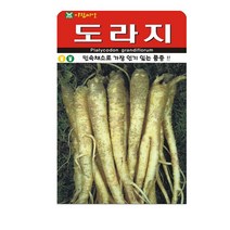 SN월드 씨앗 민속특수씨앗 약초 곰취 냉이 와송 삼채 더덕 도라지 당귀 잔디