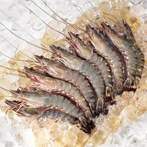 [다이아몬드새우] 프리미엄 블랙타이거새우 500g (1팩당 25마리)