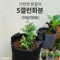 부직포 화분 식물 감자 키우기 5갤런 30x25 블루베리 고구마 감자 모종 키우기 베란다 텃밭 흙 담기 화분, 2화분5갤런-그레이