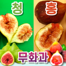 [고당도 24 Brix] 프리미엄 생 무화과 홍무화과 청무화과 1kg 2kg, 1-2. 홍무화과 2kg, 1개