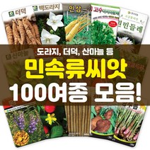 각종 민속류 씨앗 모음 더덕 도라지 당귀 나물 고수 약초 산채 씨앗 씨 종자, 43-부지깽이100립, 1개