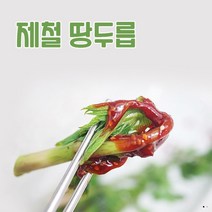 당일채취 고급 땅두릅 500g 한산섬 산지직송, 1개