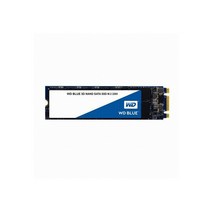Western Digital WD BLUE M.2 SSD 1TB (내장형SSD/240GB/2.5