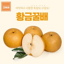 고씨네 프리미엄 배 3kg 나주배 배즙 서양배 신고배, 상세페이지 참조