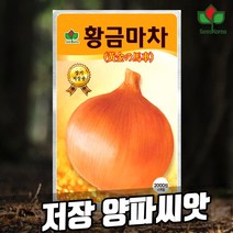 황금마차 양파씨앗 2000립 장기 저장용 양파종자 (23년포장), 1개