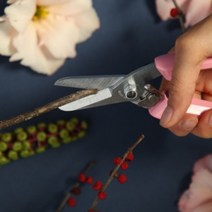 일제 아로스 140DX 전지 다목적가위 꽃가위