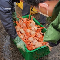 실속 국내산 자숙홍게 1box 3kg 속 꽉찬 간편 가정용