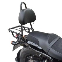 아퀼라300 아퀼라125 등받이 캐리어 튜닝 뒷자석 짐대 오토바이, 단일사이즈, 3_선반 + 등받이 + 지지