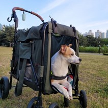[루크라이크] 이비야야 젠틀펫웨건 FS1880 (~25kg) 강아지 고양이 유모차 개모차 이동 장 가방 캐리어, 아미그린+애니유1박스