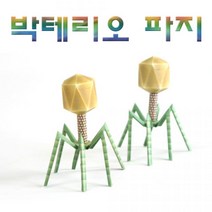 과학실험키트-박테리오파지 만들기(DIY 자연 과학 수업 체험 학습)-10장