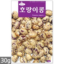 왜성적피 강낭콩 씨앗 30g - 콩씨 콩씨앗 씨 강낭콩씨 빨간강낭콩 붉은강낭콩씨앗 씨 강낭콩씨앗 주말농장 텃밭, 21_호랑이콩(30g)