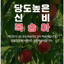 귀한 신비복숭아 1k, 1kg, 1개