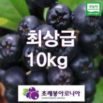 23년 유기농 자연초생재배 초례봉아로니아냉동생과 최상급 10kg / 농장 직배송( 꼭지제거 )
