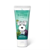 제니튼 주니어 치약 민트향, 30개, 60g