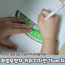 15cm 나무자 귀여운 키위 디자인