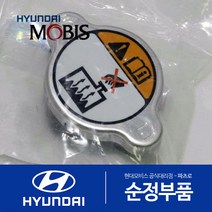 베라크루즈 순정 라디에이터 캡 뚜껑 (2006.11-2015)