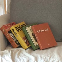 피우다 주드 올렌 컬러풀잡지 모형책, DIGNO(노랑)