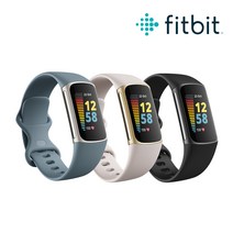 [ Fitbit 공식판매점 ] Fitbit Charge5 핏빗 차지5 스마트 트래커 스마트밴드, 블랙&그라파이트