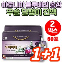 식용 달팽이 즙 진액 액기스 엑기스 아로니아 블루베리 홍삼 농축액 콘드로이친 우슬 오가피 당귀 백작약, 2박스