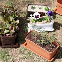 ohnew 아파트베란다화분 직사각형화분 플라스틱화분 옥상화분 도로 수경 로비, 화이트