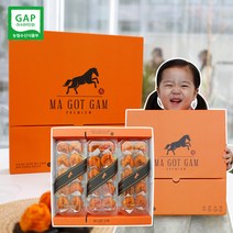 영동 마곶감3호 (1박스당 1.5kg) 1+1 곶감 2박스 실속형 포장 명절 선물세트