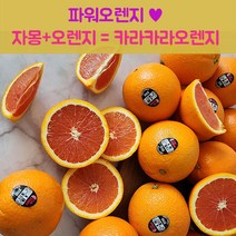 [최저가도전] 카라카라 오렌지 정품 고당도, (44과) 카라카라오렌지 1박스