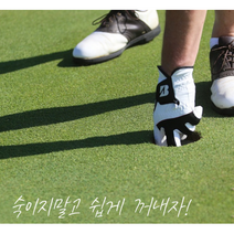 볼픽업 골프공수거 공집게 퍼터용품 골프공회수 공줍기 골프클럽부착형 골프공수거 골프볼픽업 골, 단품