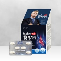히딩크의 관절생생 MSM뼈영양제 900mg*60정