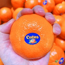 미국귤 큐티스 만다린 귤 5kg/3kg/2kg, 2kg(22과내외)