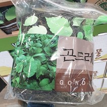 코스트코 건곤드레 나물 300g, Namul 300g