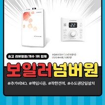 대성셀틱 친환경 DNB-13S 일반 2종 정직한비용 친절상담 기본설치비포함 대성셀틱보일러 교체, DNB-13S (15평이하)