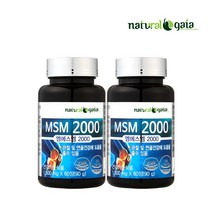 MSM 2000 2병