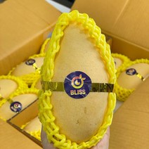 항공직송 골드망고 태국 남독마이 골드 망고 2kg / 2.5kg 4kg 5kg, 5kg(8~14과), 1개