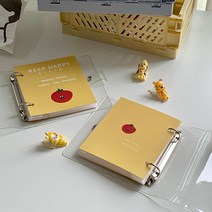 부드러운케이스 3인치 100 장 루스리프 투명 MINI 사진첩 기차표 카드책 명함 뱅크 수납 2565282269, 사진첩 100 장 한 권 룩